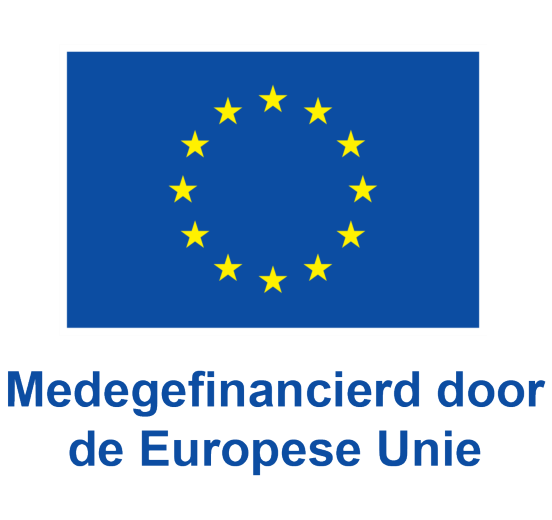 Co-funded by the European Union